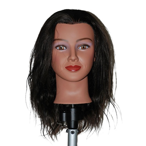 Celebrity 19 Cosmetology Mannequin Head 100% Human Hair