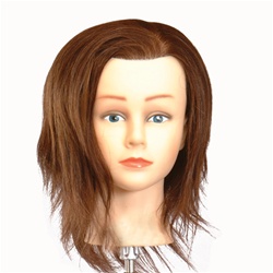 Celebrity 19" Cosmetology Mannequin Head 100% Human Hair, Brown - Bridgette