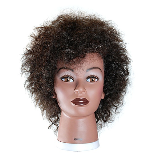 16 Cosmetology Mannequin Head Erica Naturally Curly Virgin Hair by  Celebrity