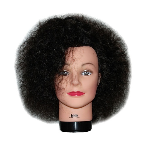 16 Cosmetology Mannequin Head Erica Naturally Curly Virgin Hair